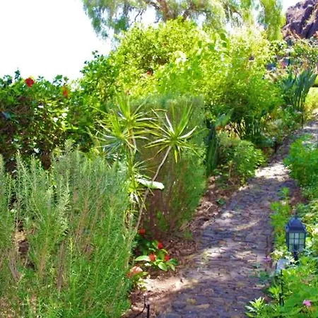 2 Bedrooms Bungalow With Sea View Enclosed Garden And Wifi At Sao Martinho Funchal 1 Km Away From The Beach