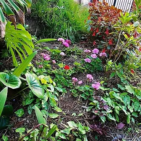 2 Bedrooms Bungalow With Sea View Enclosed Garden And Wifi At Sao Martinho Funchal 1 Km Away From The Beach Holiday home